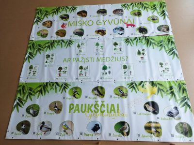 Įgyvendiname projektą ,,Saulutės vaikams rūpi gamtos rūpestėliai“