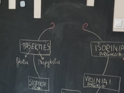 Savo ir kitų jausmų atpažinimas