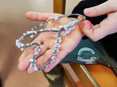 Eksperimentas. Pažintis su kristalizacojos procesu